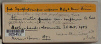 Image Associated With the Occurence